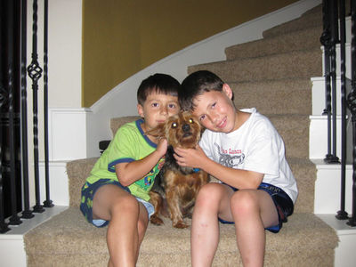 Click to view full size image